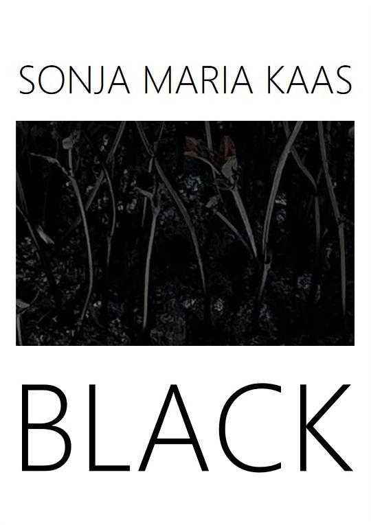 /images/kvl/ZuGast/20221003_Sonja_Black/original/1 Ausstellung Black Flyer Vorderseite.jpg